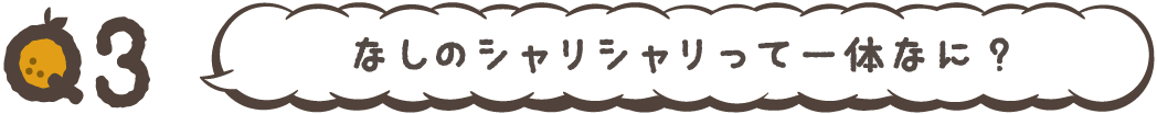 なしのシャリシャリって一体なに?