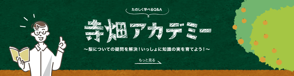 楽しく学べるQ＆A