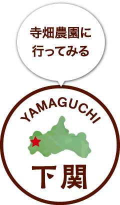 寺畑農園へ行ってみる