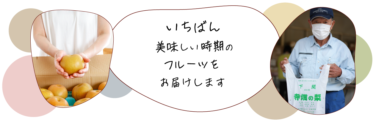 いちばんおいしい時期のフルーツをお届け