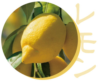 レモン
