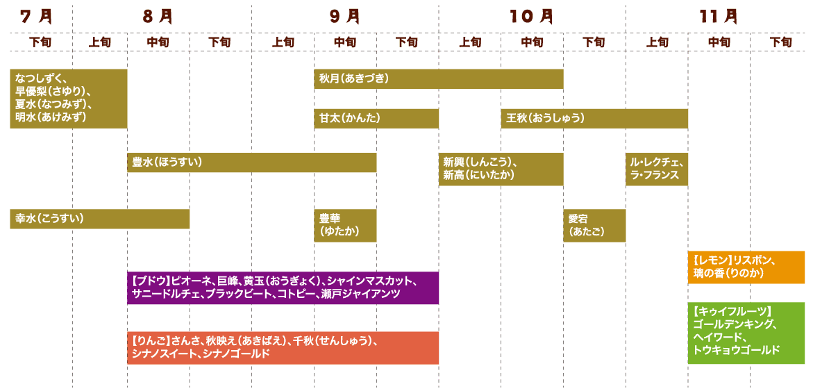 フルーツ収穫カレンダー