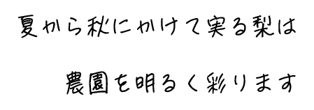 夏から秋にかけて実る梨は農園を明るく彩ります